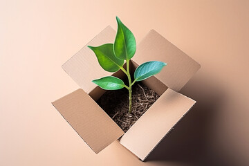 Conceito ecológico com broto de folhas verdes crescendo em caixa de papelão da vista superior do papel artesanal. Sem plástico, zero