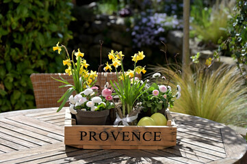 Frühlingsgesteck mit Osterglocken und Gänseblümchen auf Holztisch im Garten