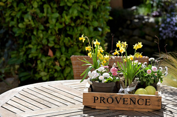 Frühlingsgesteck mit Osterglocken und Gänseblümchen auf Holztisch im Garten