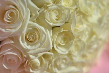 bouquet of white roses.macro photography of plants