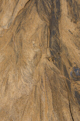Sand texture from the flow of spring water near a lake in the Canadian forest