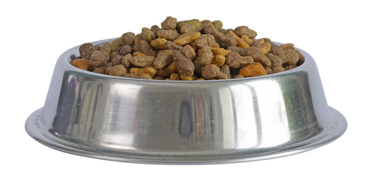 Gamelle de croquettes pour chat