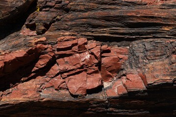Closeup of a Petrified wood fossil in Petrified Forest National Park, AZ, USA