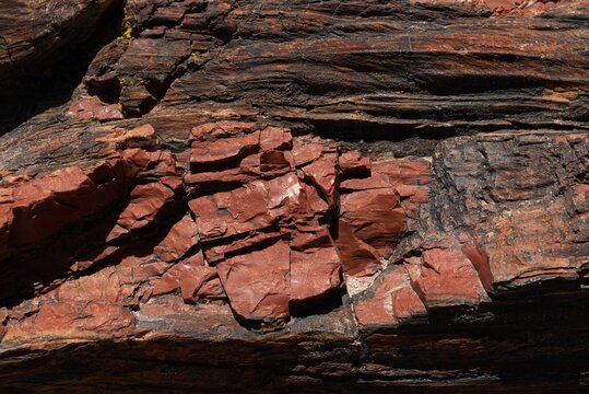 Closeup of a Petrified wood fossil in Petrified Forest National Park, AZ, USA