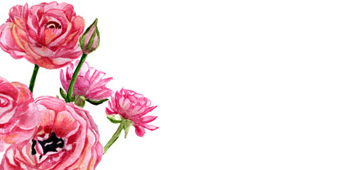 Banner con bouquet di fiori rosa, acquerello isolato su sfondo bianco