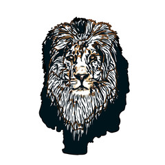 Color sketch of a lion with  transparent background