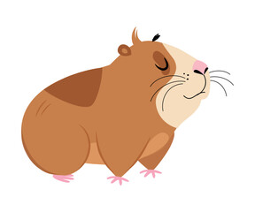 Cute guinea pig. Funny brown pet rodent cartoon vector illustration