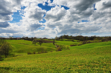 Fototapeta na wymiar field and blue sky with clouds