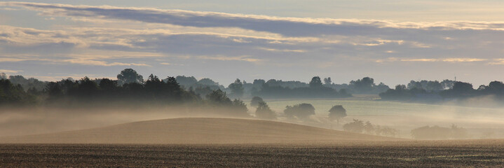 Misty fields on a summer morning in Sjaellan, Denmark.