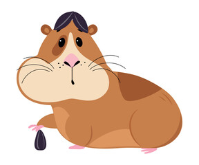 Cute guinea pig eating sunflower seeds. Funny pet rodent cartoon vector illustration