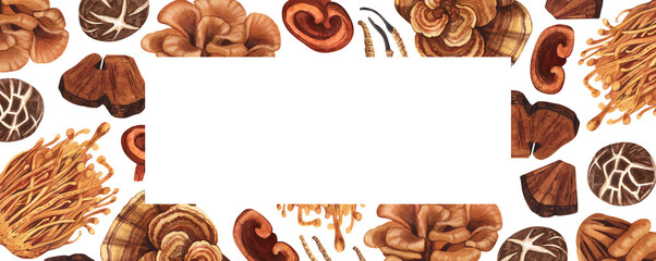 Watercolor medicinal mushroom frame, adaptogenic plant. Hand-drawn illustration isolated on white background. Perfect concept for healthy chinese medicine popular superfood, design packing.