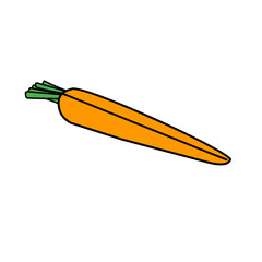 vegetable carrot