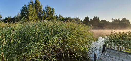 Sunrise over a small lake near Kurów on a sunny summer morning, Puławy, Poland.