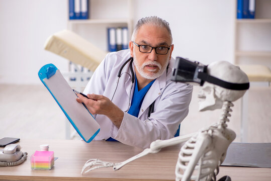 Old male doctor examining skeleton in the clinic