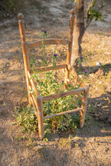 Wooden chair in the garden with wild flowers. Selective focus.