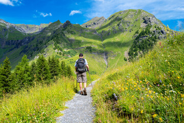 Fototapeta premium Senior man hiking the Mountain view trail from Allmendhubel to Grütschlap in the Jungfrau region of the Swiss Alps, Switzerland.