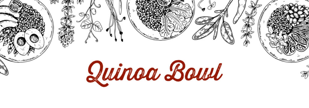 Quinoa bowl background. Hand drawn vector illustration in sketch style. Restaurant menu design.