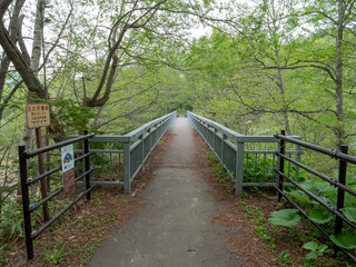 三の沢橋梁（北海道河東郡上士幌町）