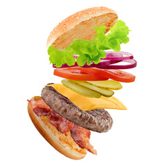 delicious fast food, burger, hamburger, cheeseburger, isolated on white background, full depth of field