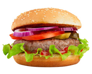 delicious fast food, burger, hamburger, cheeseburger, isolated on white background, full depth of field