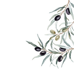 Watercolor banner with green and black olive leaves branches.Watercolor olive in bouquet. Decorative element for greeting card. Illustration