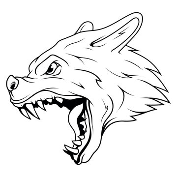 Wolf. Vector illustration of an angry animal. Sketch dog for t-shirt design