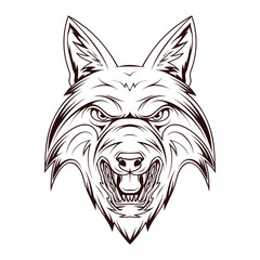Evil fox. Vector illustration of a sketch  mascot for a sport team.