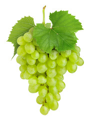 Green grape, isolated on white background, full depth of field
