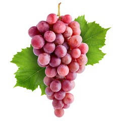 Red grape, isolated on white background, full depth of field