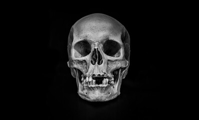 real human skull on black