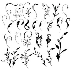 creative floral elements vector set, icon, symbol, logo, clipart, isolated. vector illustration. vector illustration isolated on white background.