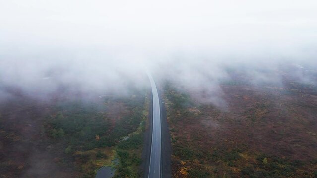 Road through tundra, autumn 