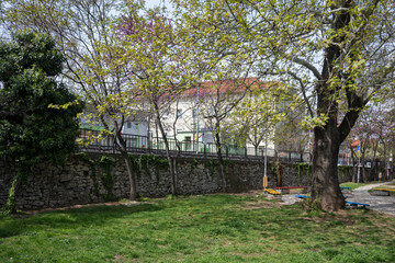 Fototapeta premium Center of town of Asenovgrad, Bulgaria