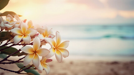 Branch of frangipani - plumeria - flowers on tropical beachfront, closeup, with copy space - obrazy, fototapety, plakaty