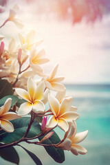 Branch of frangipani - plumeria - flowers on tropical beachfront, closeup, with copy space - 594085545