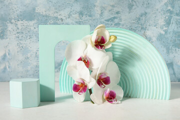 Decorative plaster podiums and beautiful orchid flowers on white table near blue wall