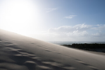 Fototapeta premium The wonderful Dune du Pilat in France