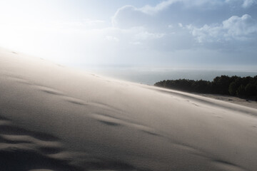 The wonderful Dune du Pilat in France