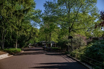 zoo