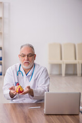Fototapeta na wymiar Old male doctor cardiologist working in the clinic