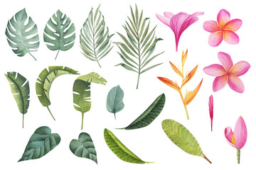 Set of tropical plants and flowers. Botanical watercolor green exotic leaves. Coconut palm, monstera, banana tree, plumeria. Perfect for cards, invitations, wedding and summer designs