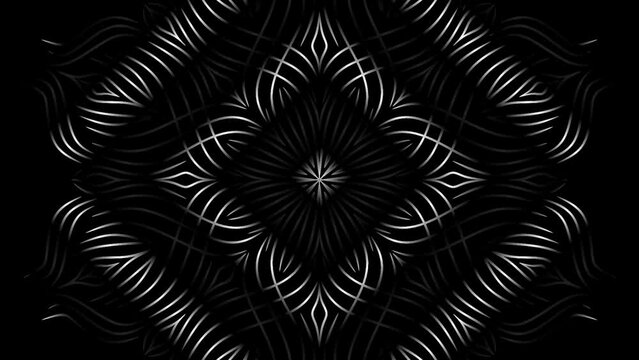 luxurious Sparkle of light shines motion graphics  colourful rainbow flowers line art  for intro opening ads commercial