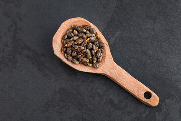 Ricinus communis - Organic castor seeds and fruits