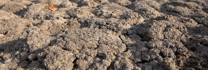 drought cracks on arid soil