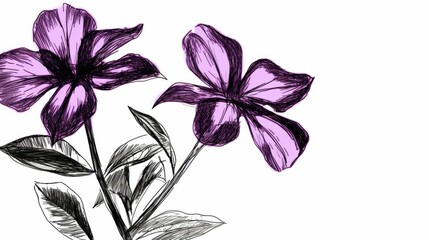 Simple plant sketch of a bright purple petunia