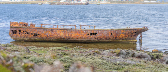 Ein altes Walfänger Wrack in Whalebone Cove vor Stanley auf den Falklandinseln. Stanley im...