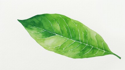 Obraz premium Simple drawing of a leaf with vibrant green color
