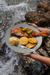 Fried fish with vegetables on gray plate top view with a background of sea waves