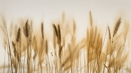 Stalks of wheat on a foggy morning by generative AI