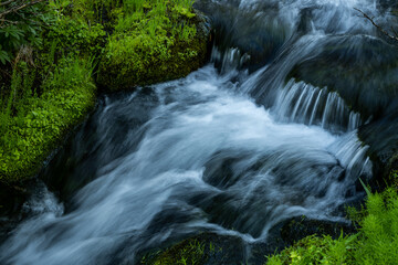 Cascade Through Moss of Paradise Meadows